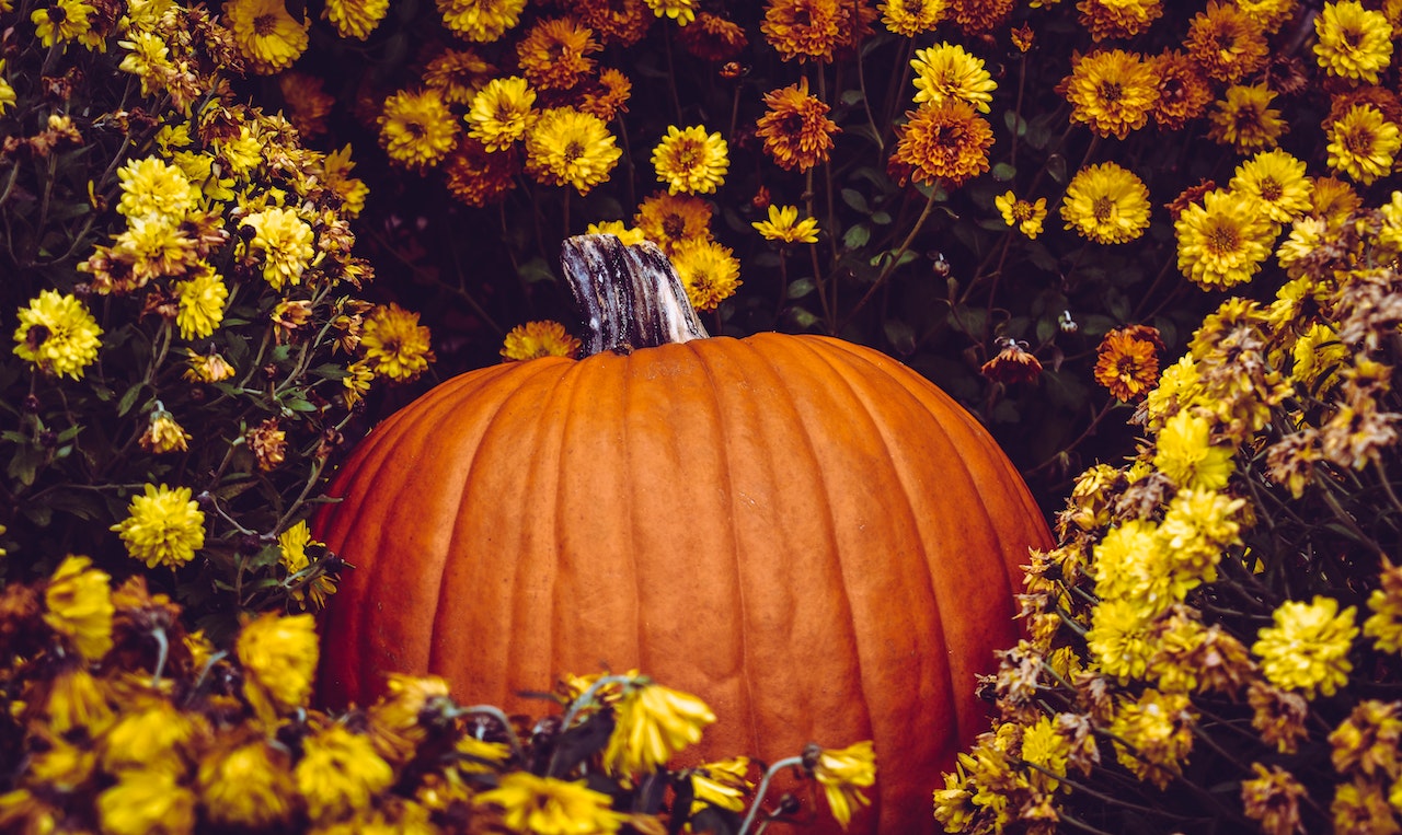 En calabaza