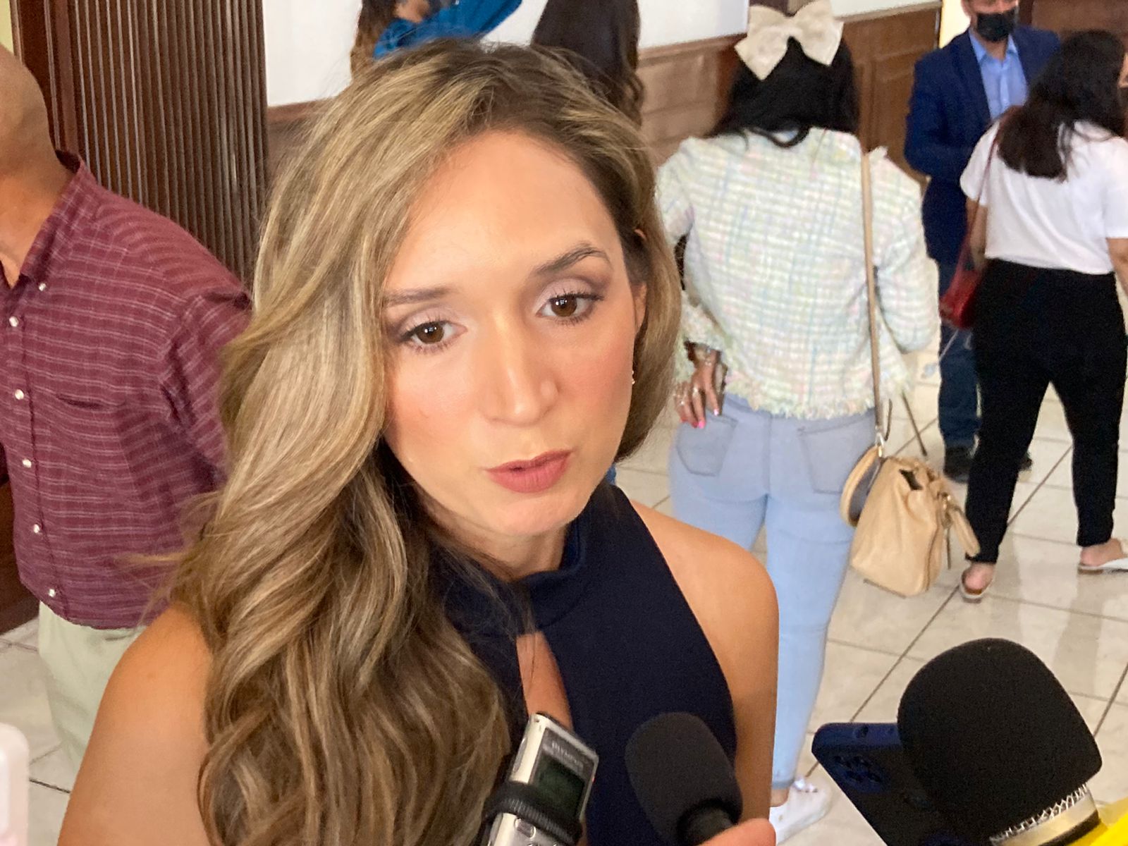Buscan castigar tala clandestina en zonas serranas