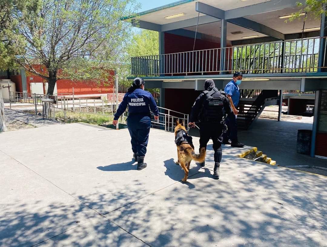 Siguen operativos de seguridad en escuelas