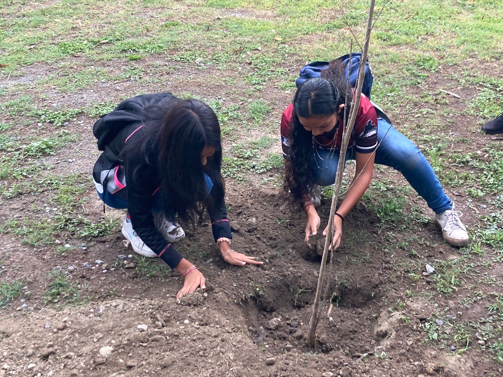 Estudiantes de la UAdeC siembran árboles en la Ciudad Deportiva Francisco I. Madero