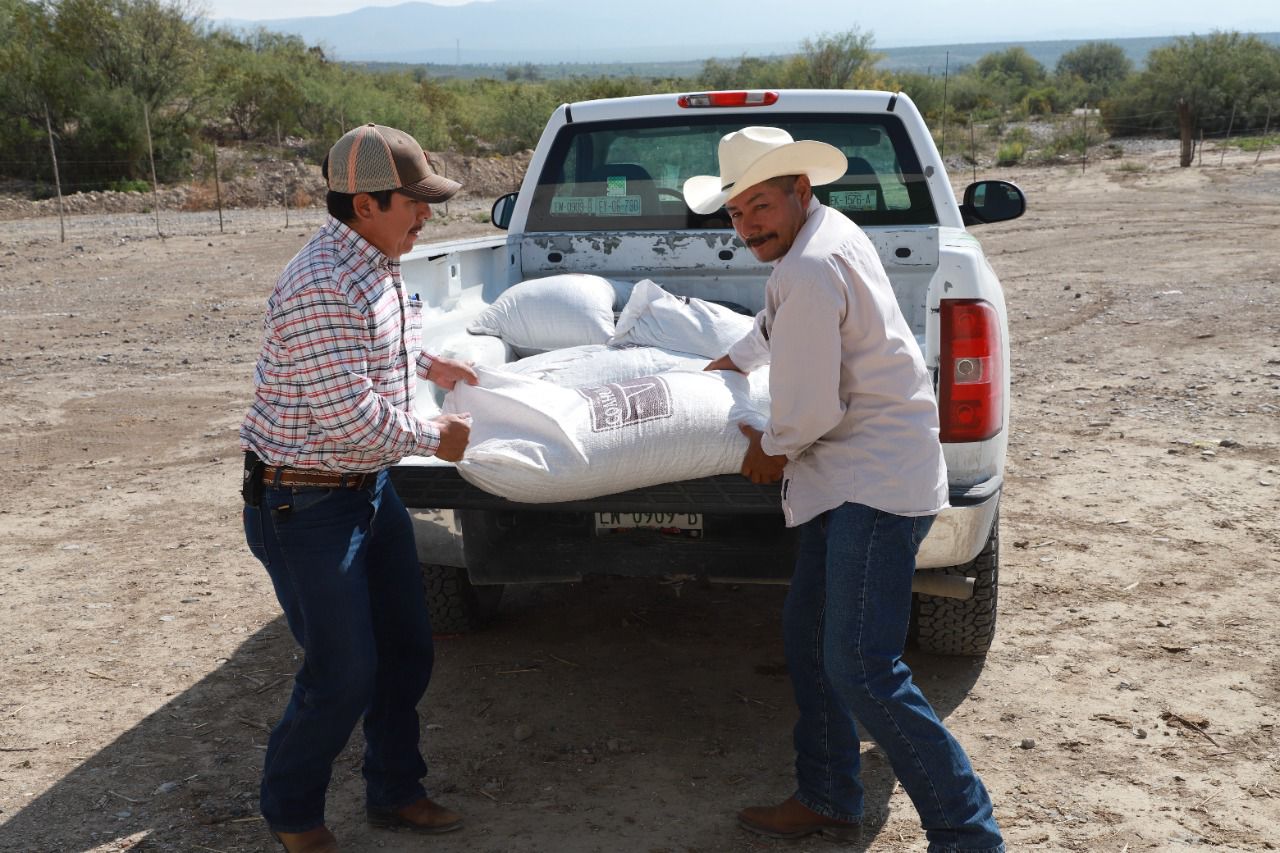 Lleva Municipio de Saltillo suplemento ganadero a ejidos