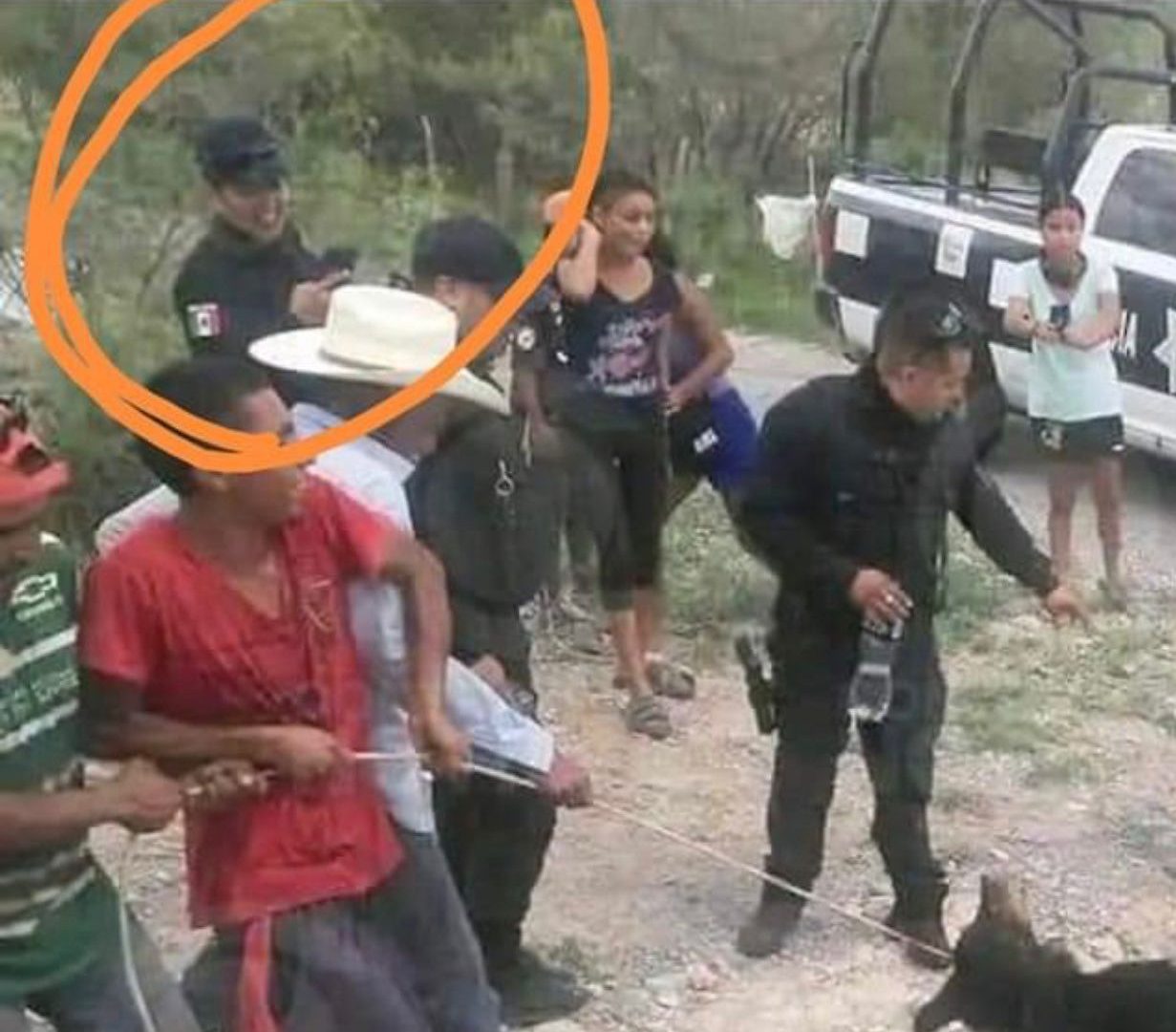 Vinculan a proceso a implicados en muerte de osezno