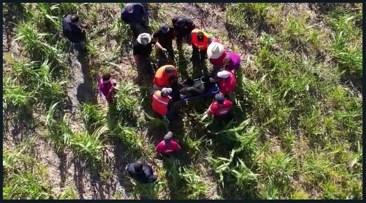 Capturan y resguardan a oso que deambulaba en el municipio de Matamoros