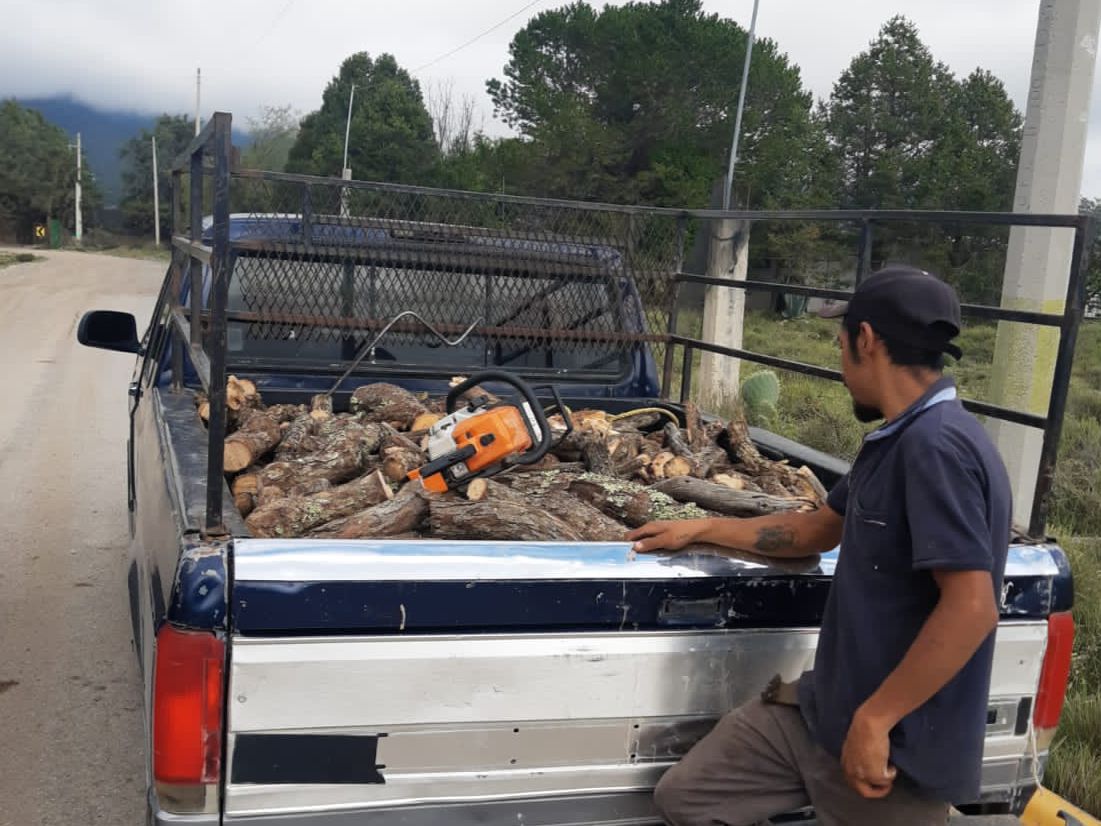 Detienen a dos por tala ilegal en Arteaga