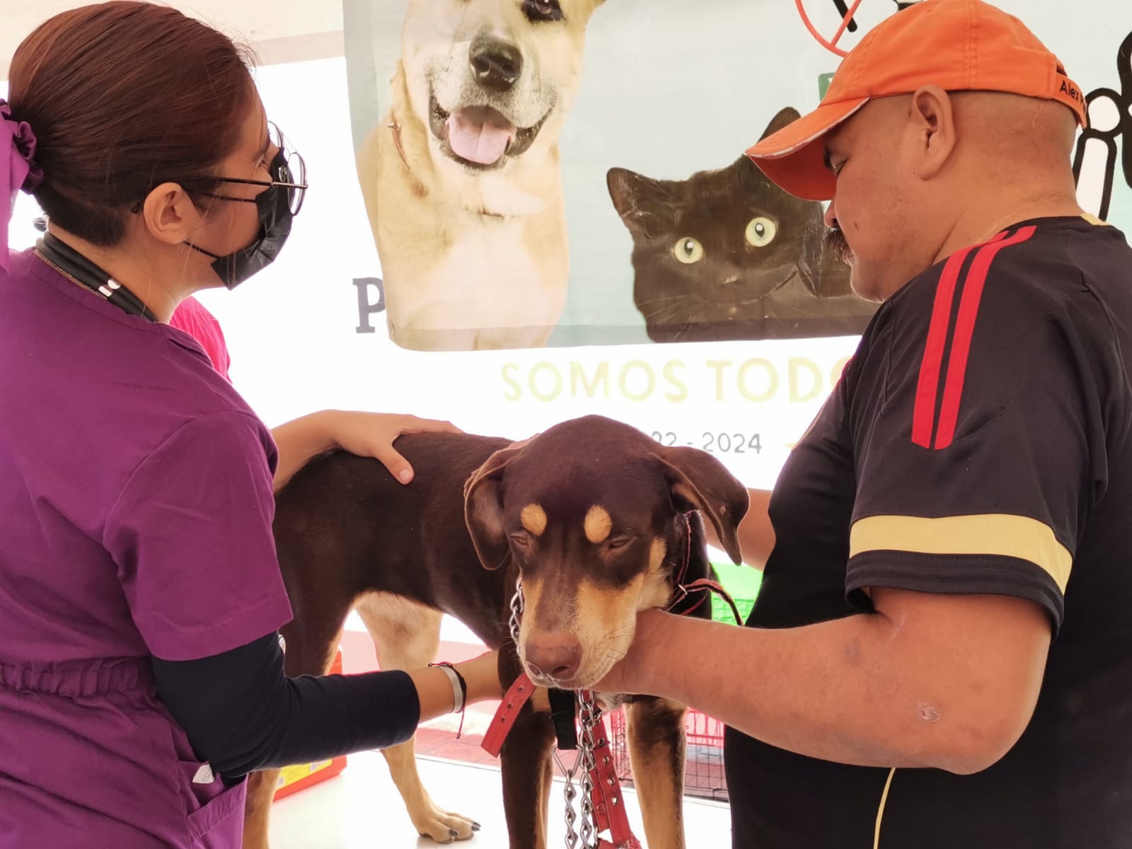 Esterilizan 200 mascotas en Piedras Negras
