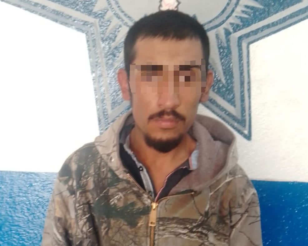 Detienen a dos personas por tala ilegal