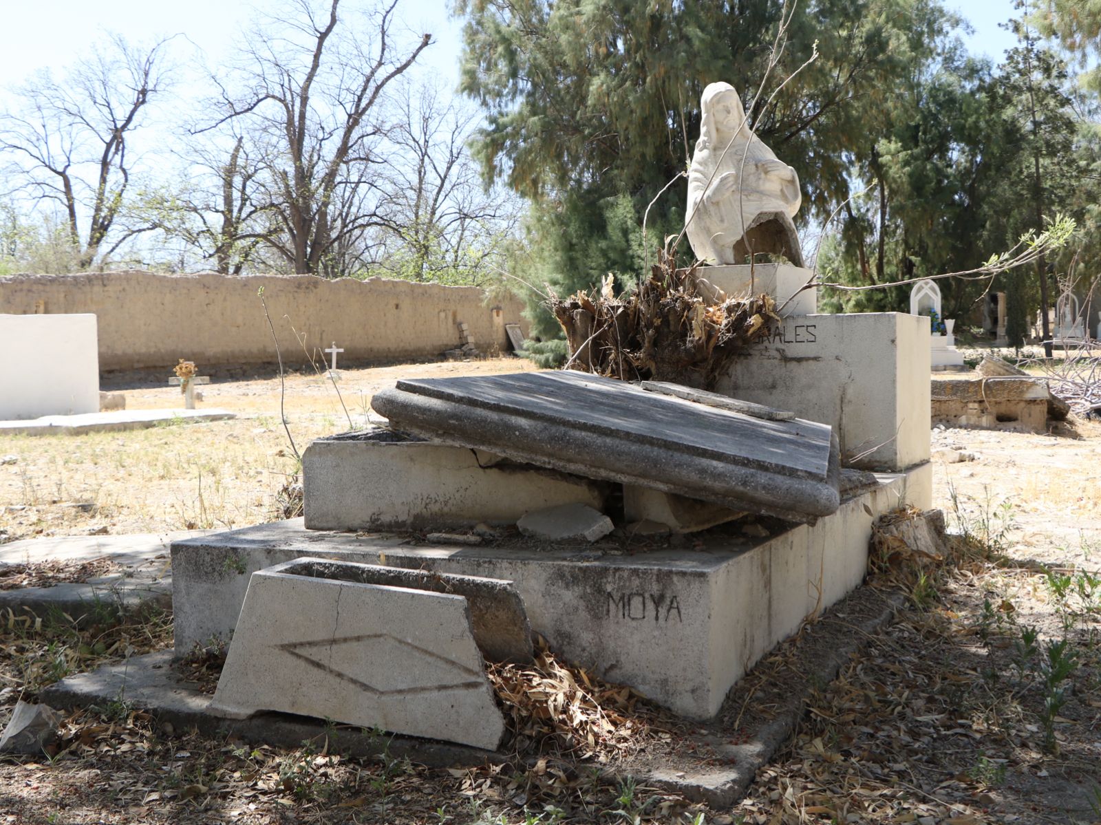 Panteón de San Antonio, un cementerio en vías de la dignificación histórica