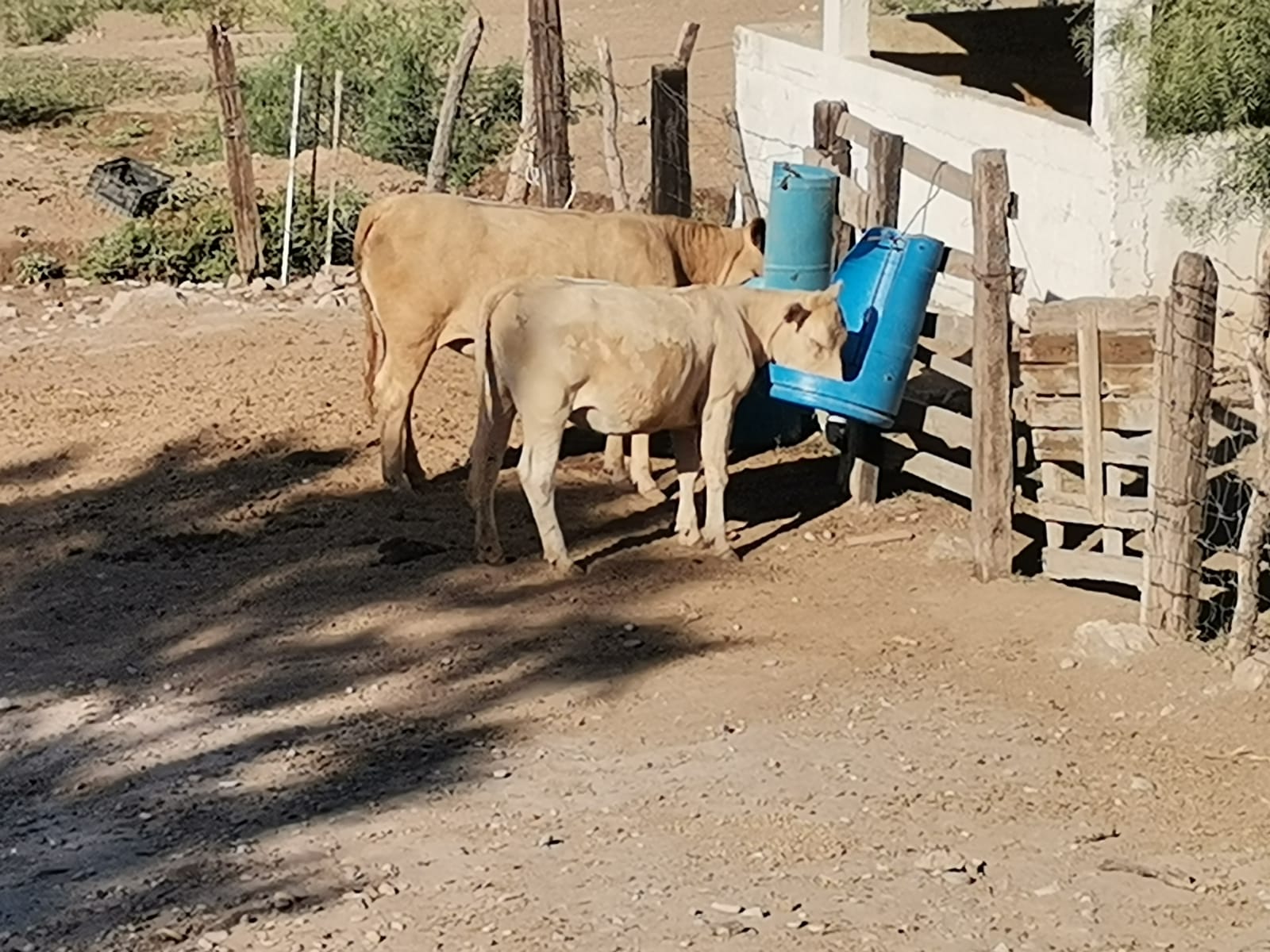 Otra vez la federación le recorta recursos al campo