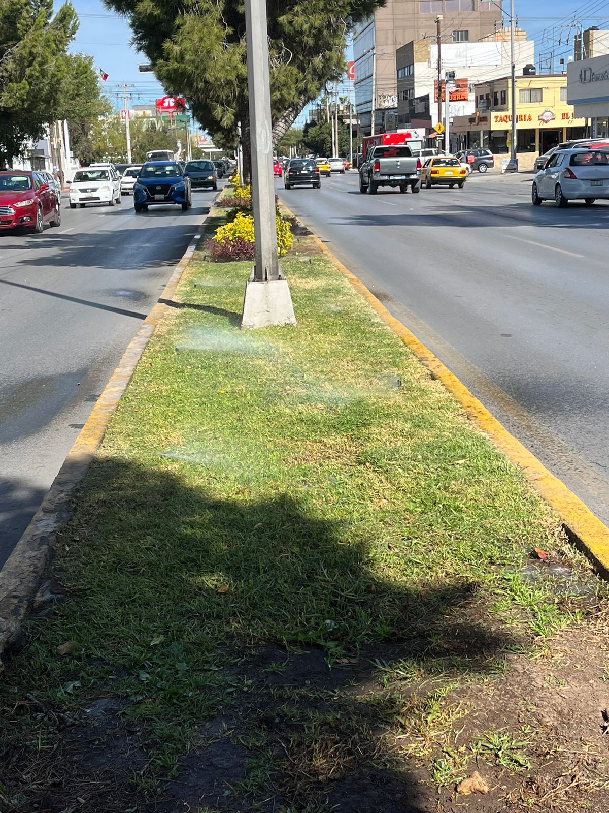 Rehabilitan riego en el Carranza