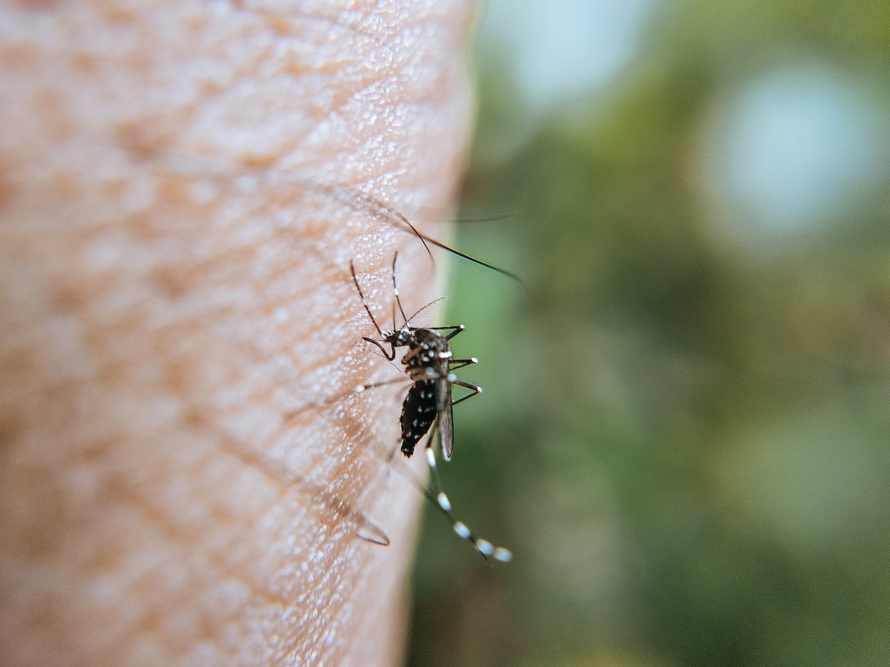 Incrementan casos de menores con dengue, uno ya fue hospitalizado