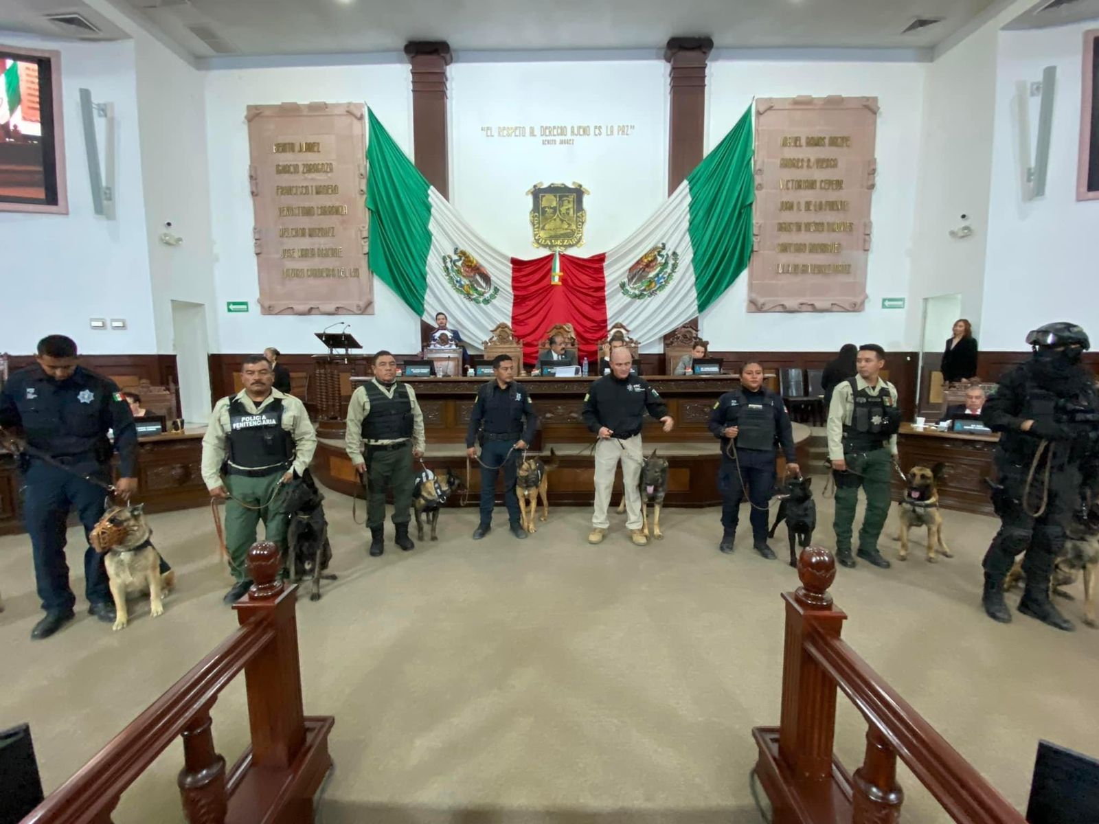 Congreso del Estado rinde homenaje a la perrita Frida