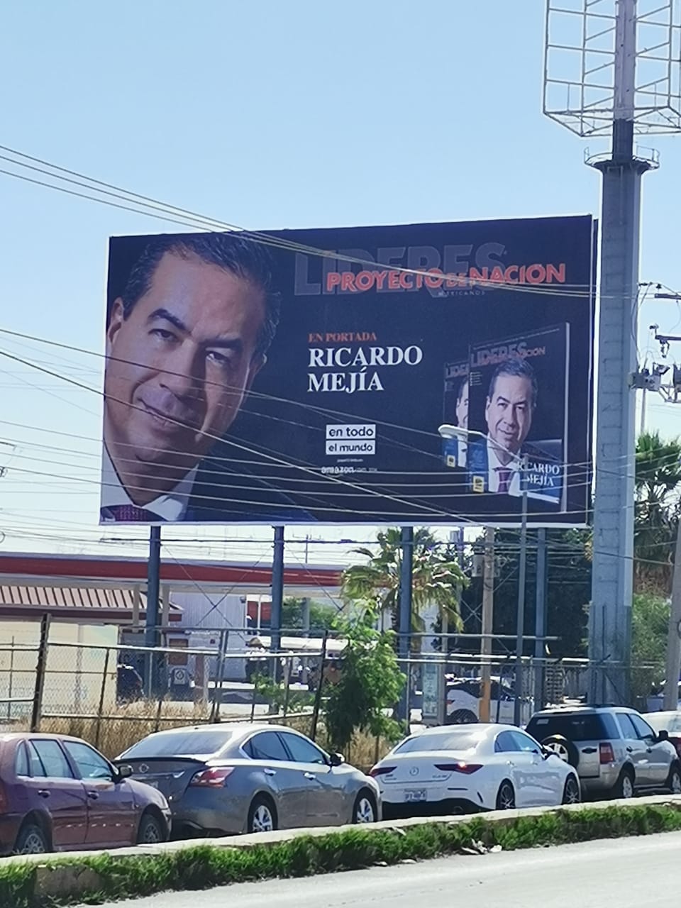En riesgo, registro de Mejía Berdeja ante permanencia de espectaculares