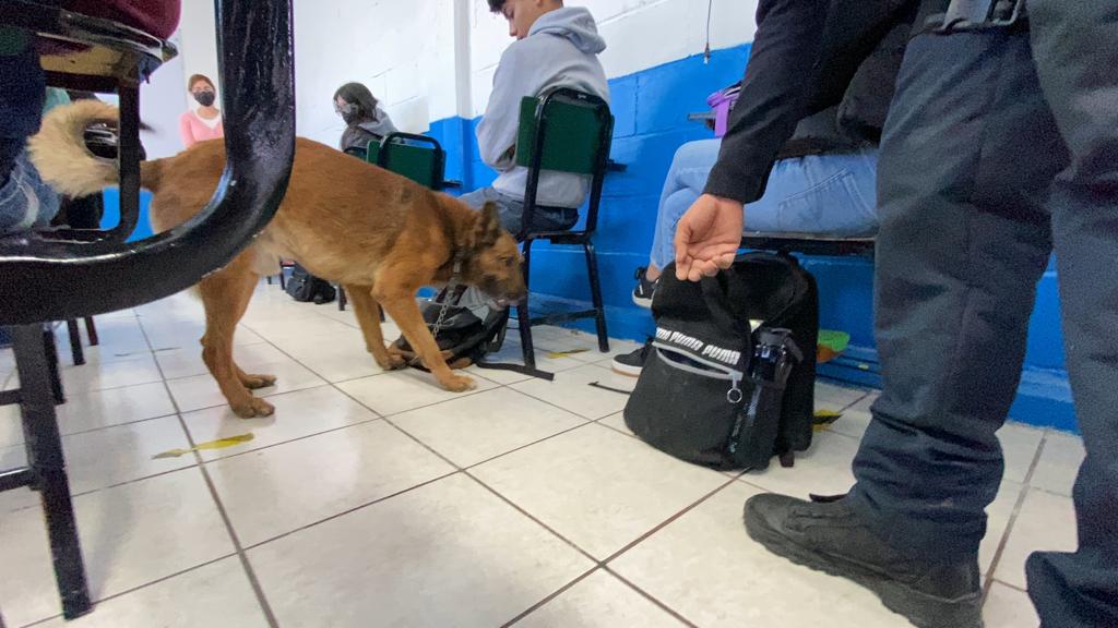 Localizan marcajes de posesión de narcóticos y objetos punzocortantes en preparatoria