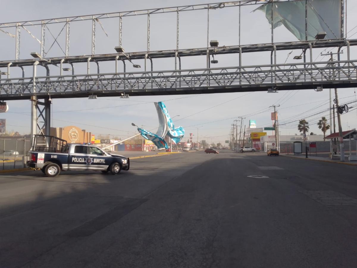 Dejan fuertes vientos árboles caídos y cortes de luz en Saltillo