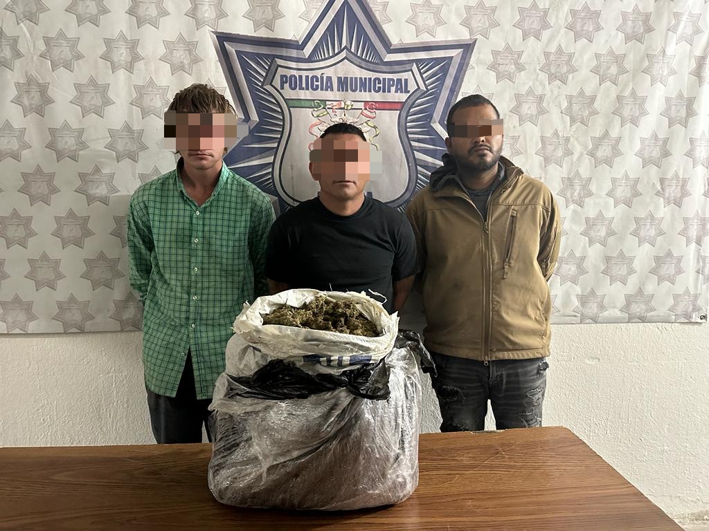 K9 de Arteaga detecta 4 kilos de marihuana en filtro de seguridad
