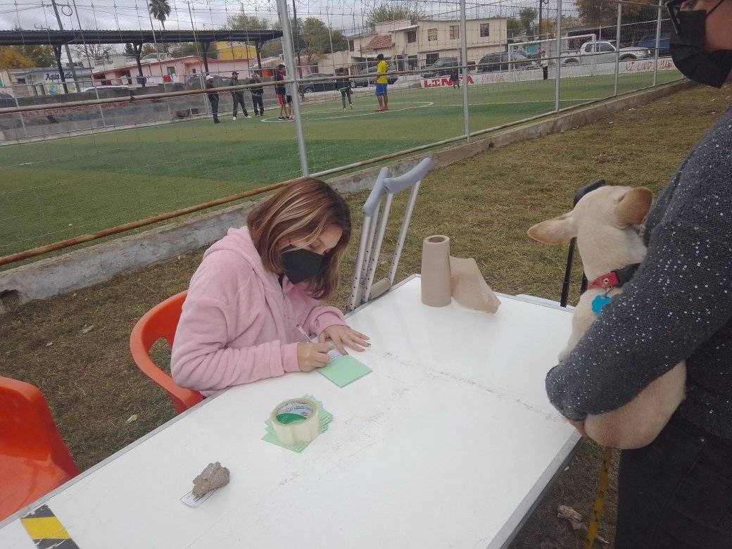 Unidad de Trato Digno para animales llevará brigadas a colonias