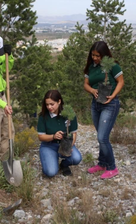 Abren convocatoria para el Premio a la protección ambiental