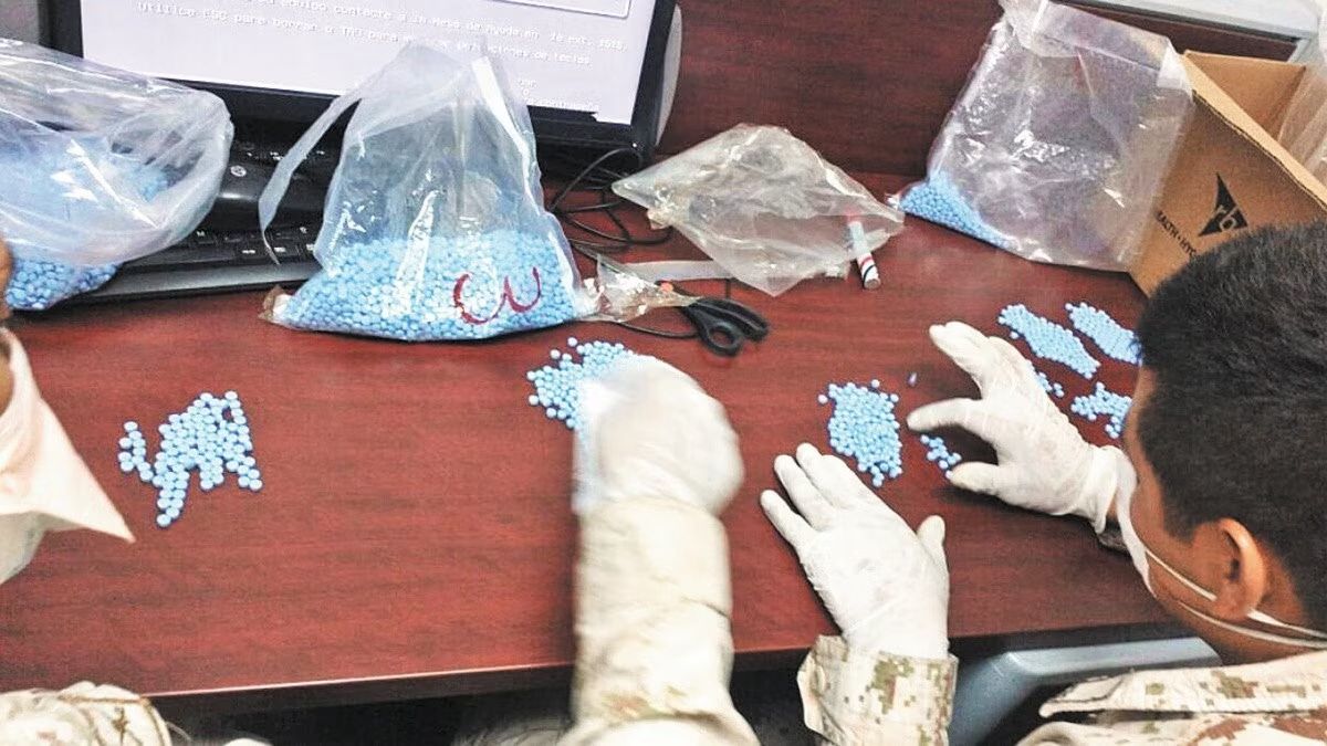 AMLO asegura que en México no se produce fentanilo; Serena incauta casi 2 millones de pastillas en Tijuana