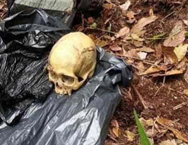 Lo detienen con cráneo humano en su poder