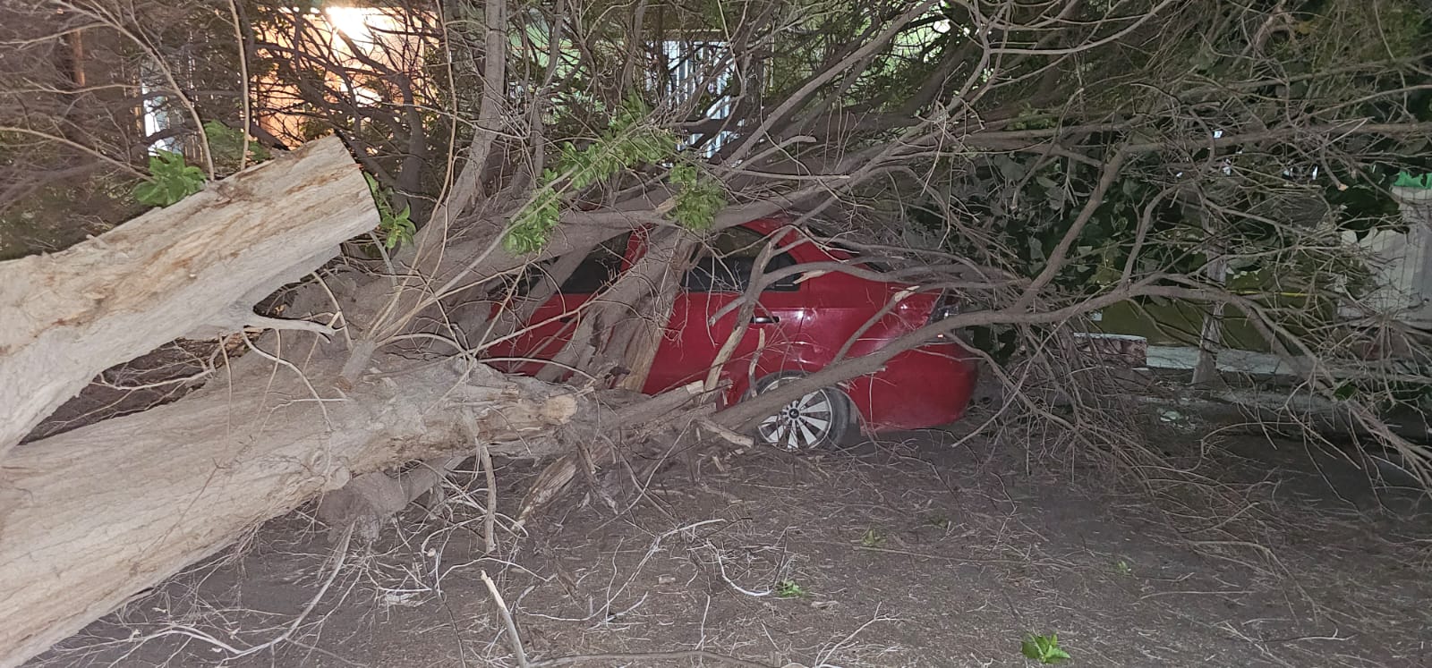 Mata viento un motociclista en Torreón