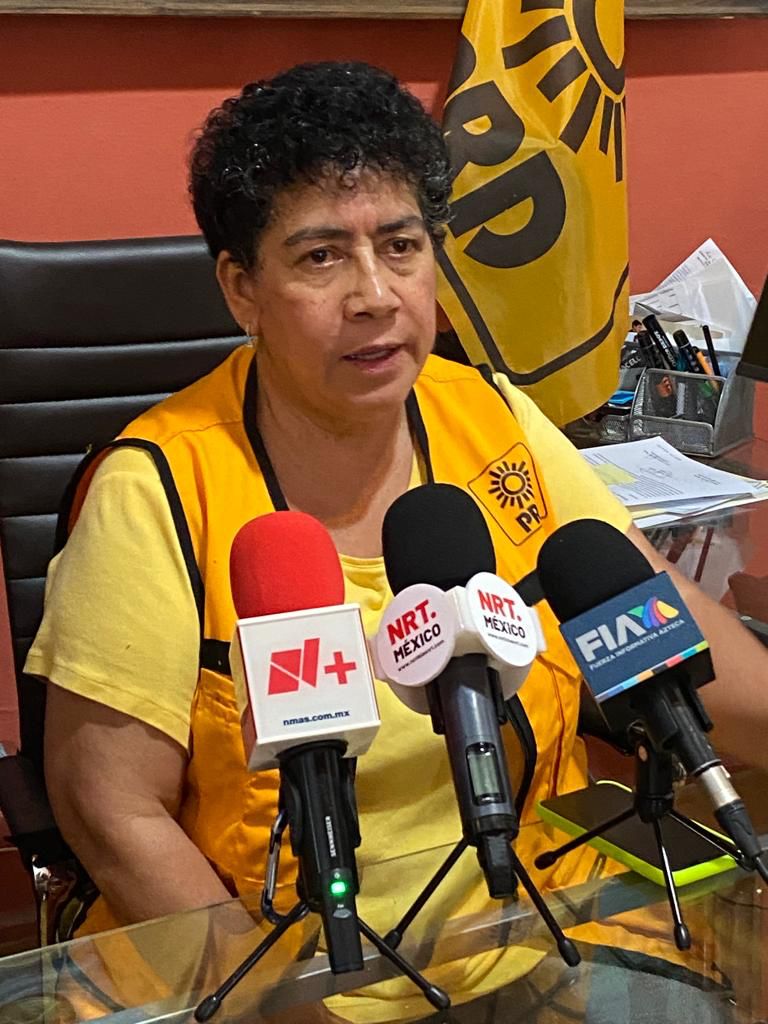 IEC debe garantizar que elección no sea impugnable: PRD