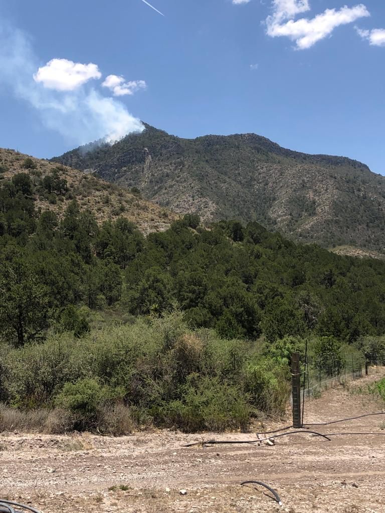 Combaten brigadas incendio forestal