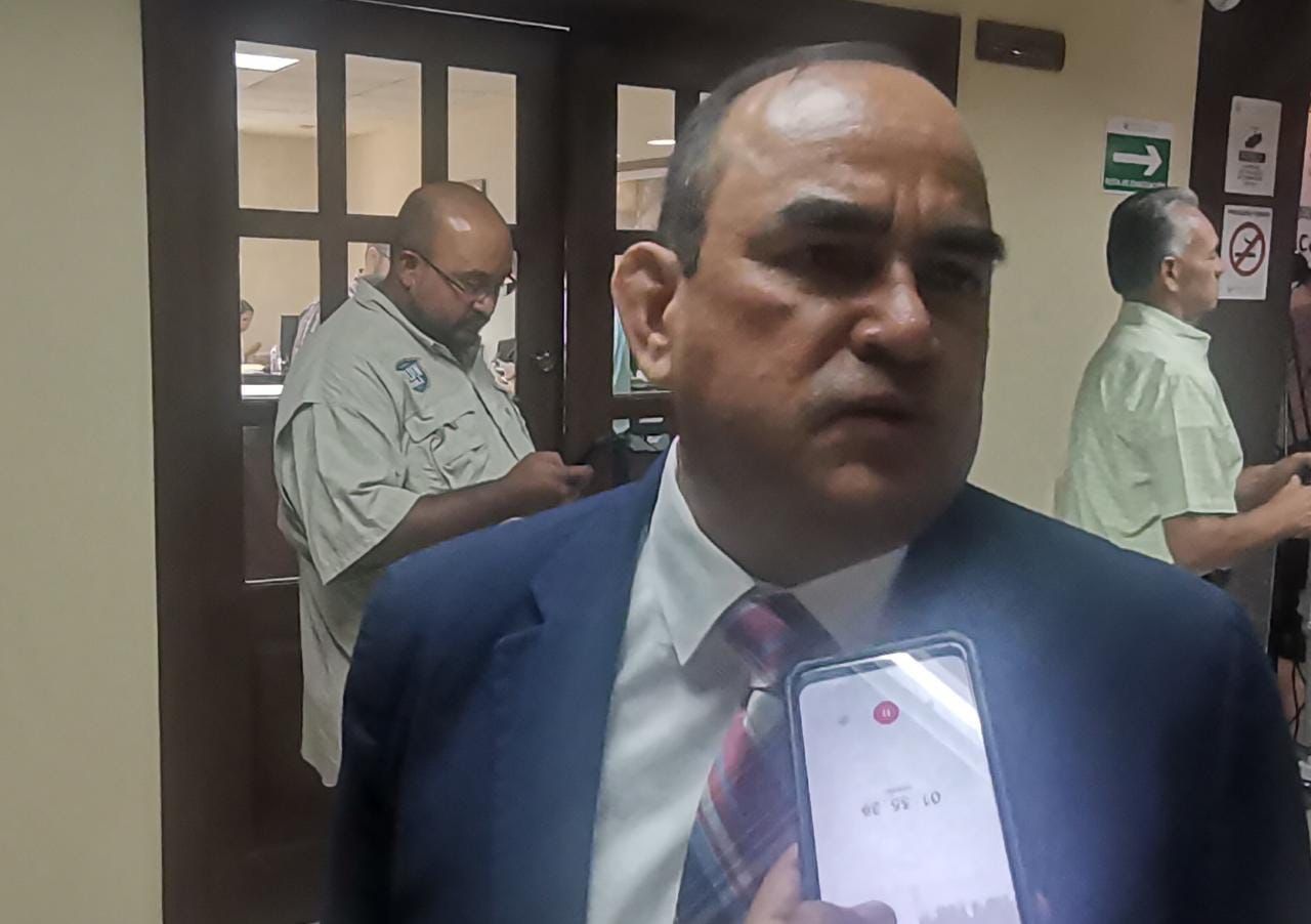 Viable, reducción de consejeros del ICAI: González Briseño 