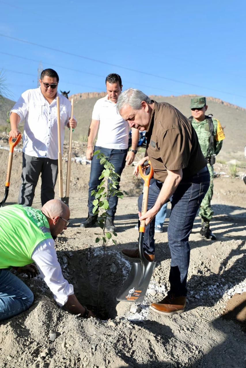 Reforesta Municipio bulevares para una ciudad verde