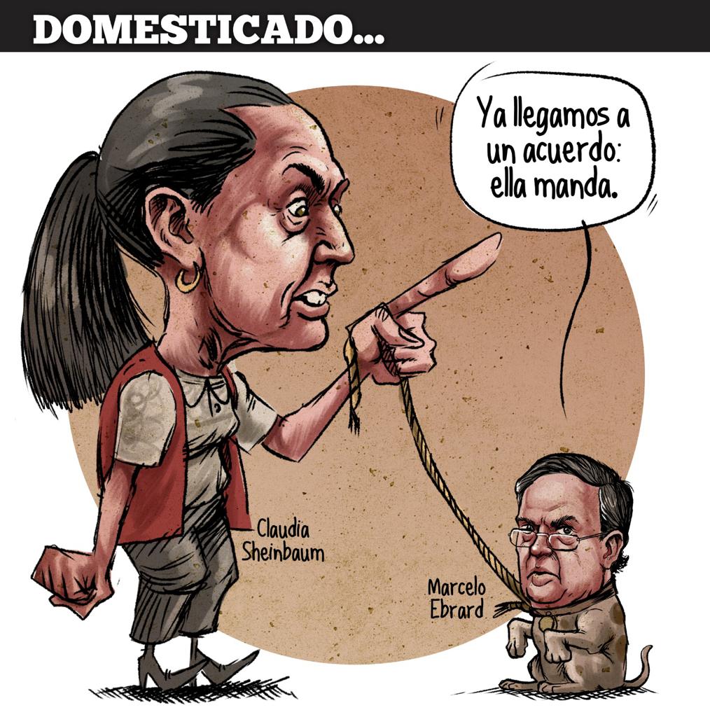 El cartón de hoy