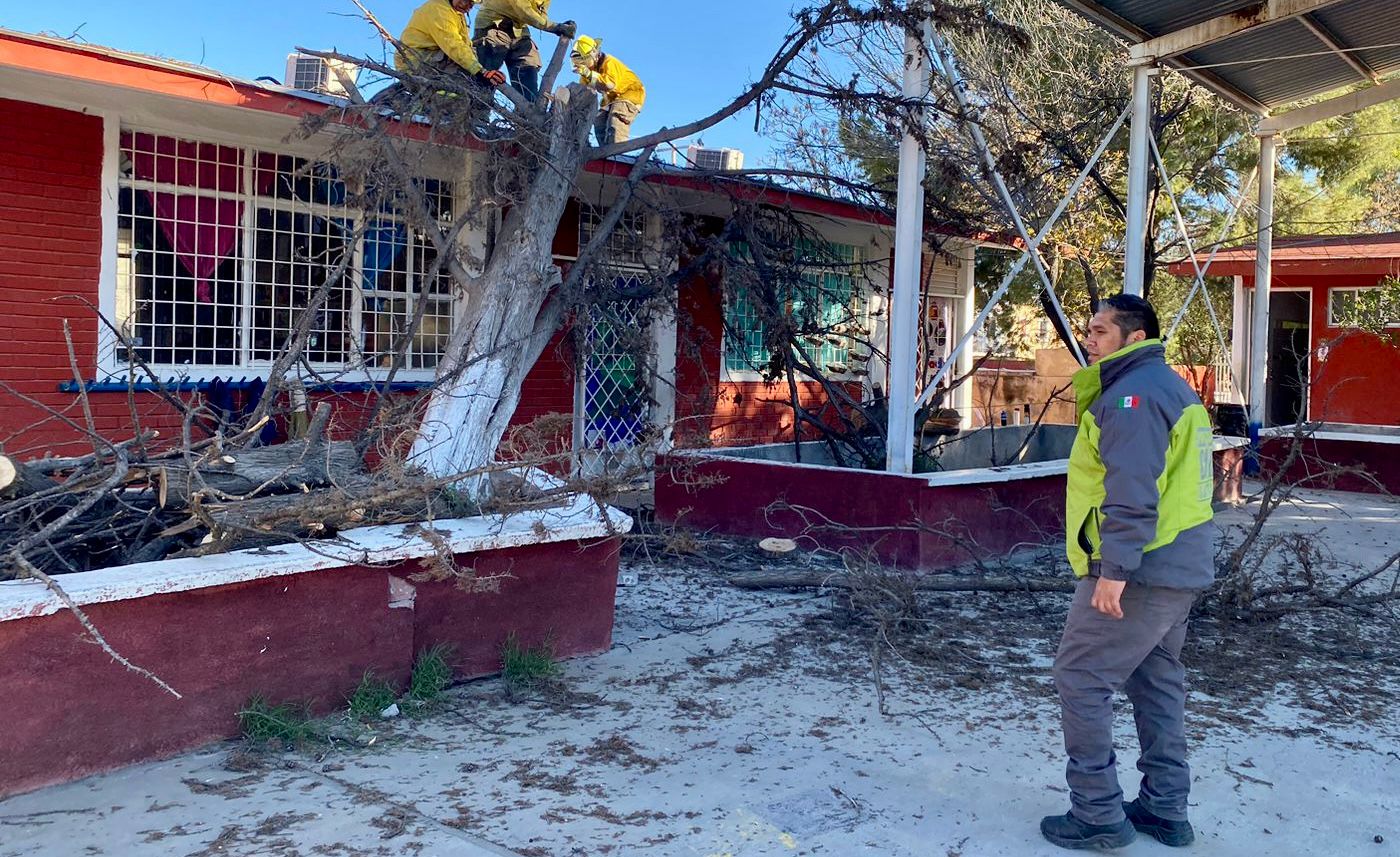Atiende Gobierno de Saltillo la ciudad ante fuertes vientos