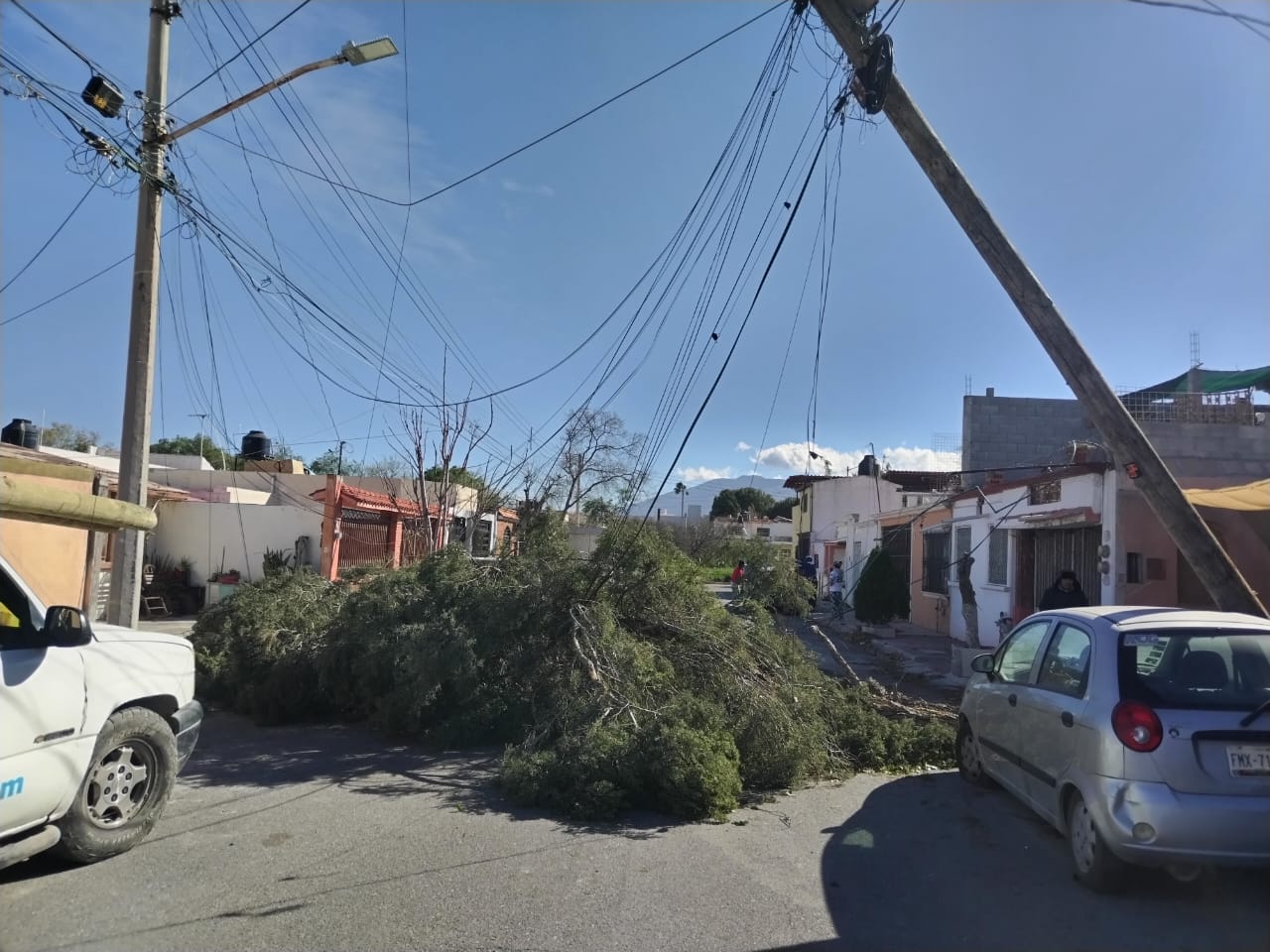 Desquicia viento a Saltillo 