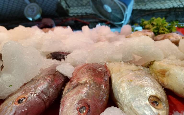 Lanzan alerta ante consumo de mariscos en mal estado