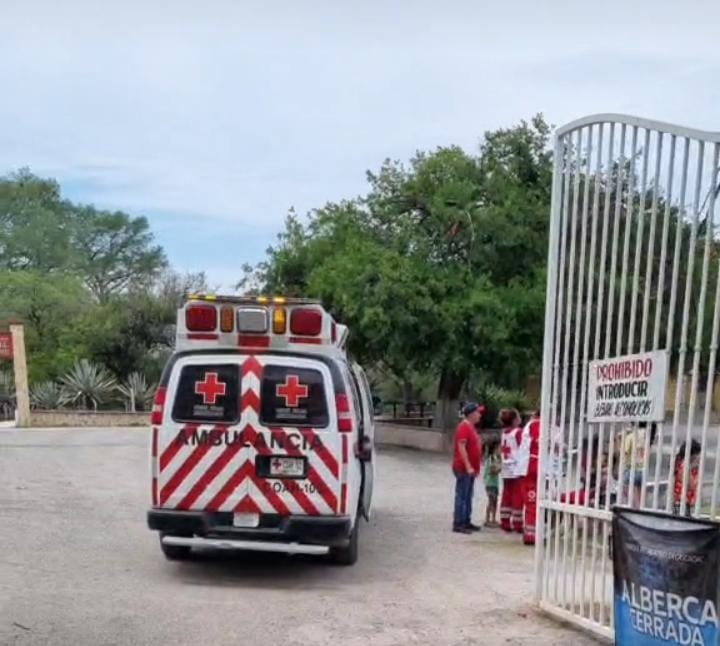 Enjambre de abejas ataca a dos menores
