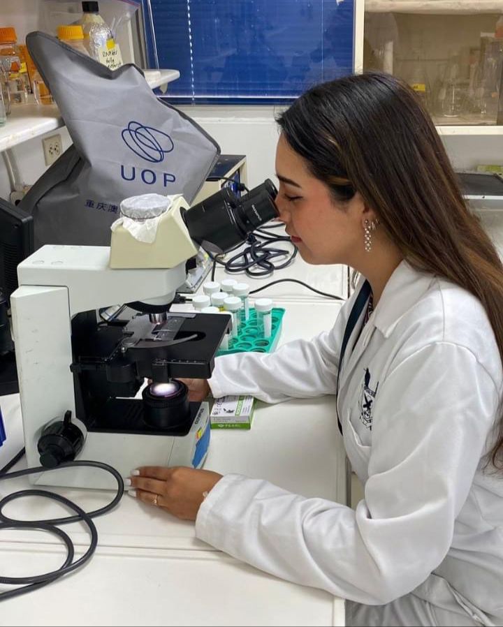 Residuos de aguacate podrían frenar cáncer