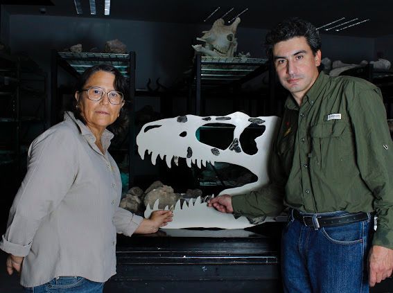 Labocania aguillonae, el tiranosaurio coahuilense