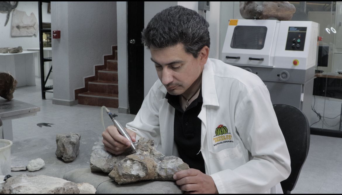 Presentan hoy nueva especie de dinosaurio