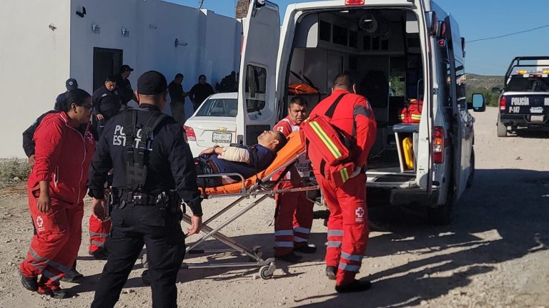 A balazos, menor defiende a su madre