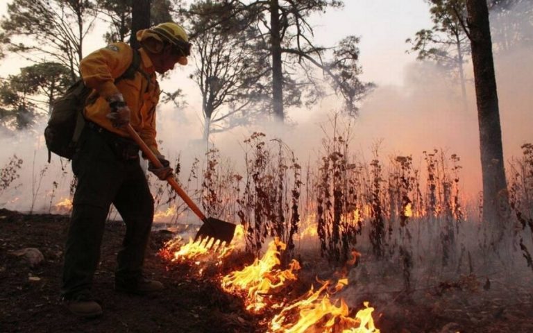 2024: El año con más incendios forestales en México