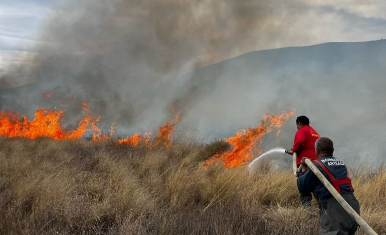 Solo pastizal y matorrales afectó incendio en Arteaga