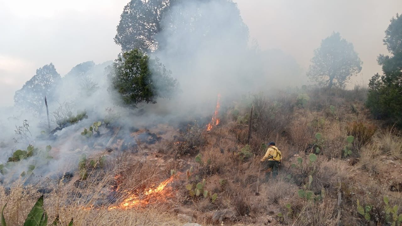 Aumentan 300 % incendios urbanos