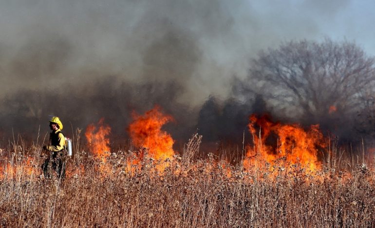 Alistan reforma para dar prisión a incendiarios 