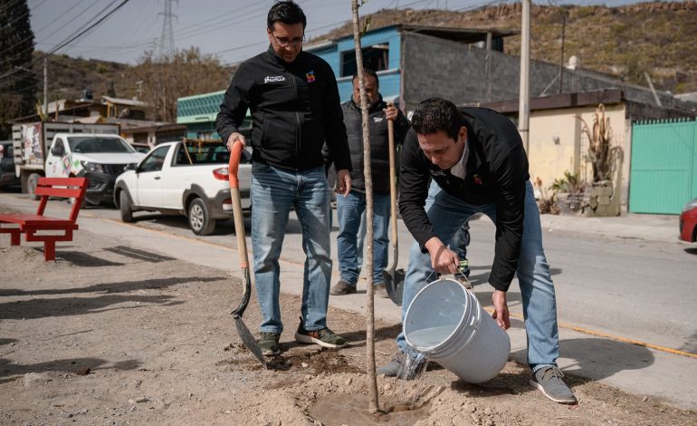 Impulsa Javier Díaz reforestación y mantenimiento de espacios públicos