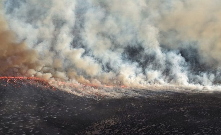 Fuego en rancho de la Narro, por una botella