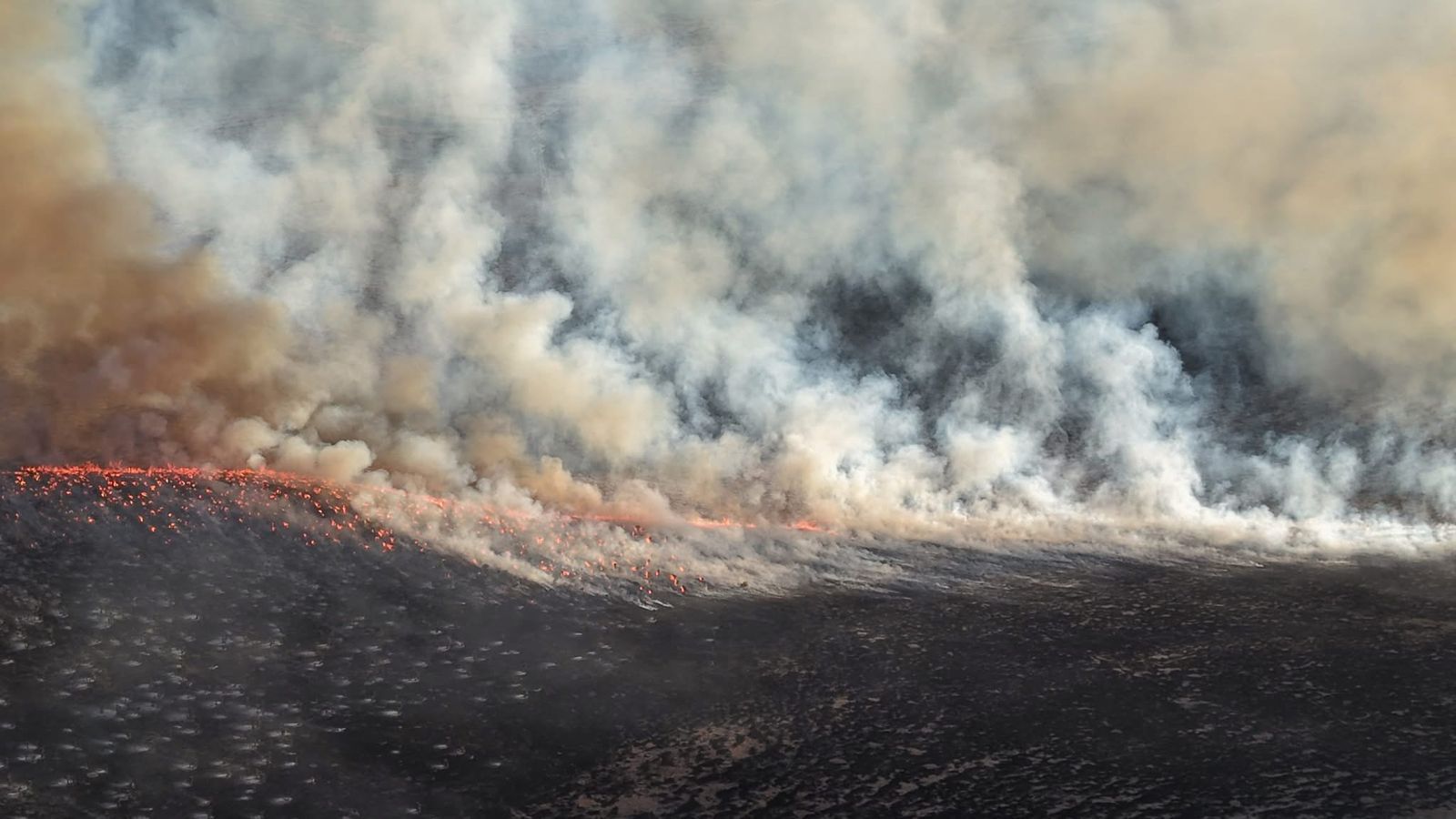 Fuego en rancho de la Narro, por una botella