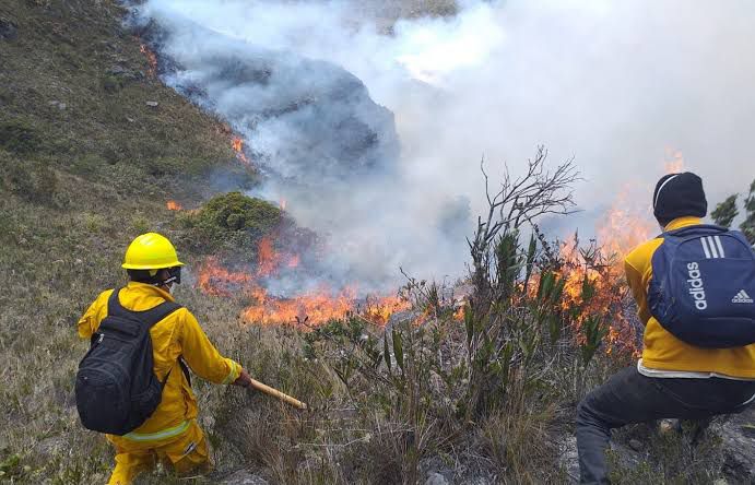 Actuó tarde Conanp en incendio forestal