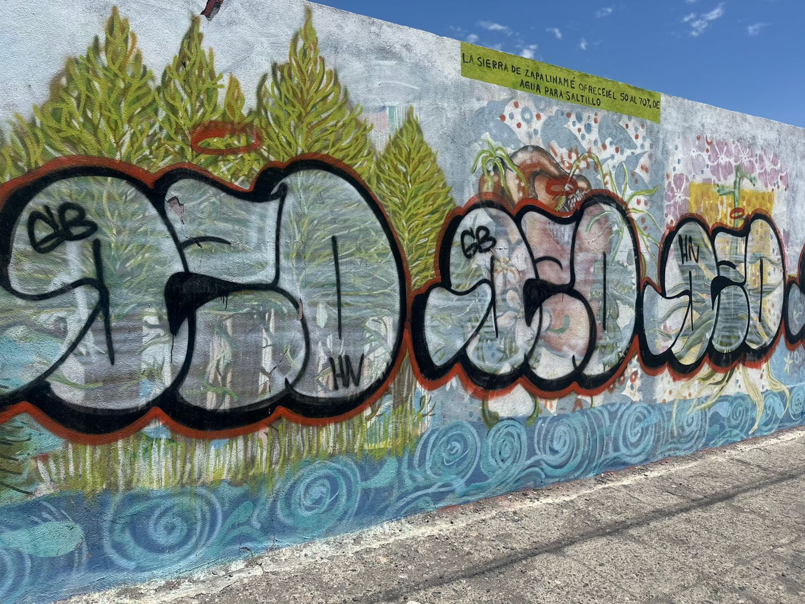 Grafiti en Saltillo: entre el arte y el vandalismo