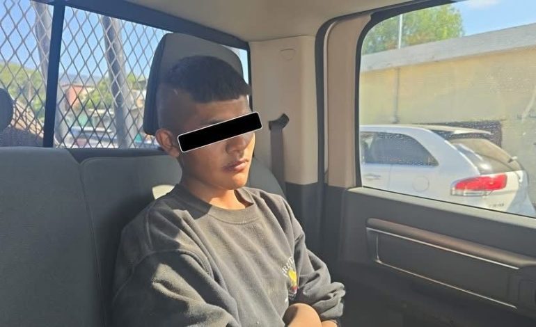 Sentencian al que quemó a cachorros