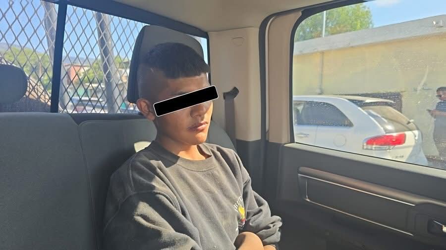 Sentencian al que quemó a cachorros