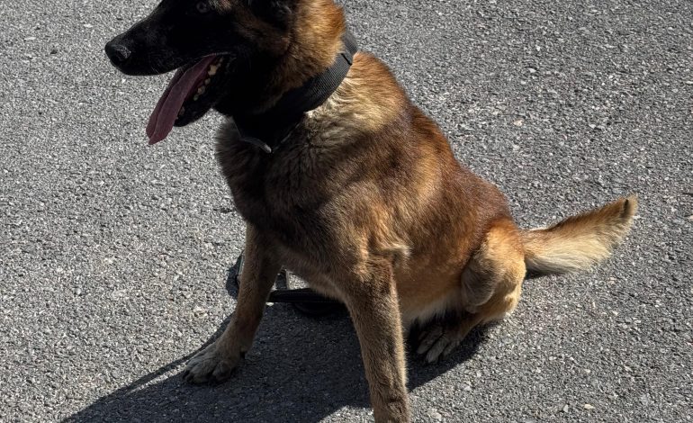 Se jubila Bebeto, agente canino de Saltillo
