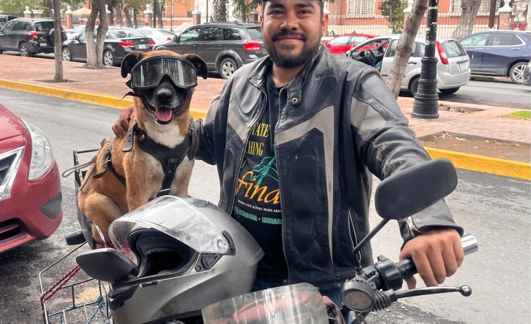 José Napoleón: el perro biker que viaja por México